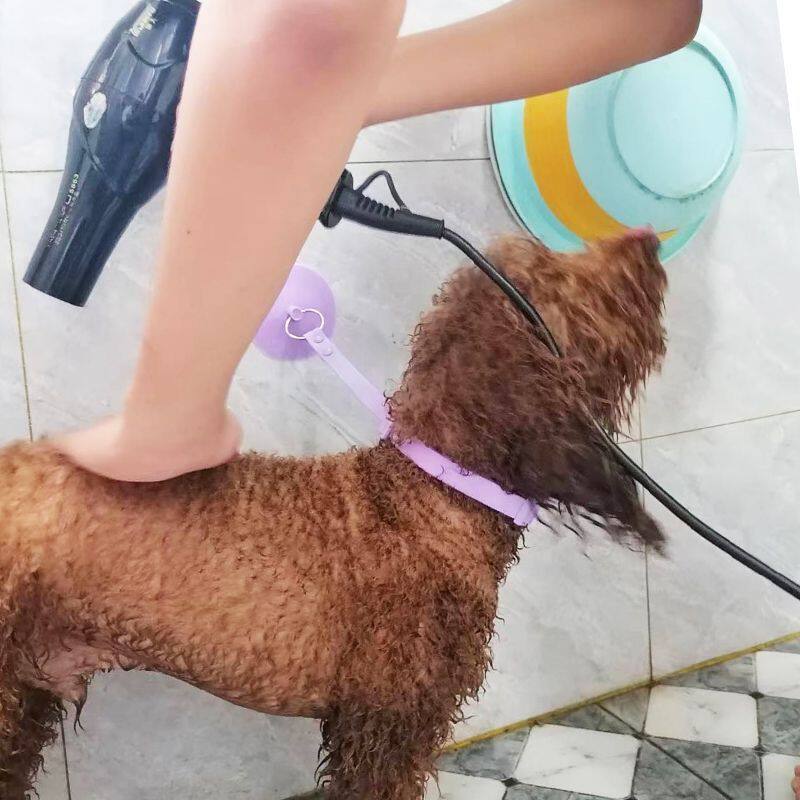 宠物洗澡吸盘固定神器猫狗美容清洁防抓防挣脱专用工具