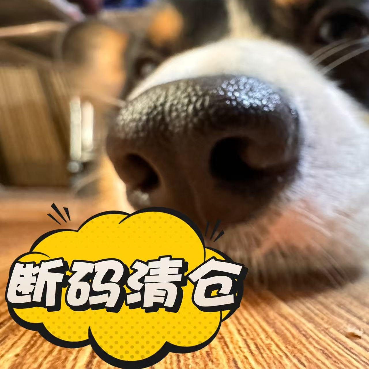 正品安踏   断码清仓