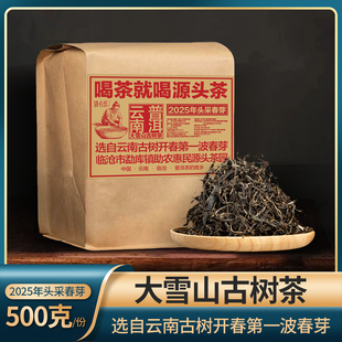 茶汤黄亮通透晶莹 临沧大雪山古树头采春茶 闹妈专属