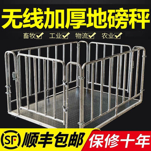 无线小地磅秤称猪称牛专用电子秤带围栏地泵秤卖猪场地磅秤养殖场