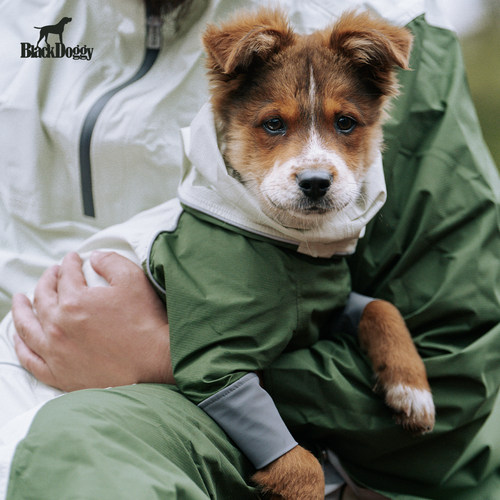 BlackDoggy新款狗狗雨衣防水