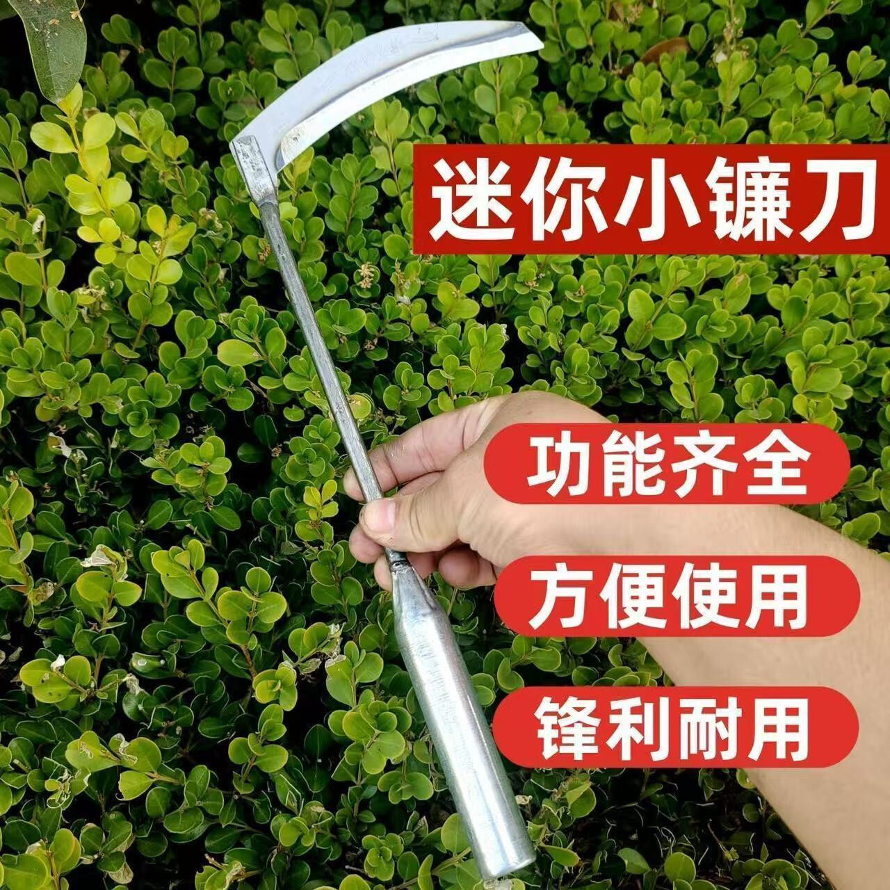家用除草割韭菜锰钢小号开刃勾刀轻便农用割菜小镰刀工具