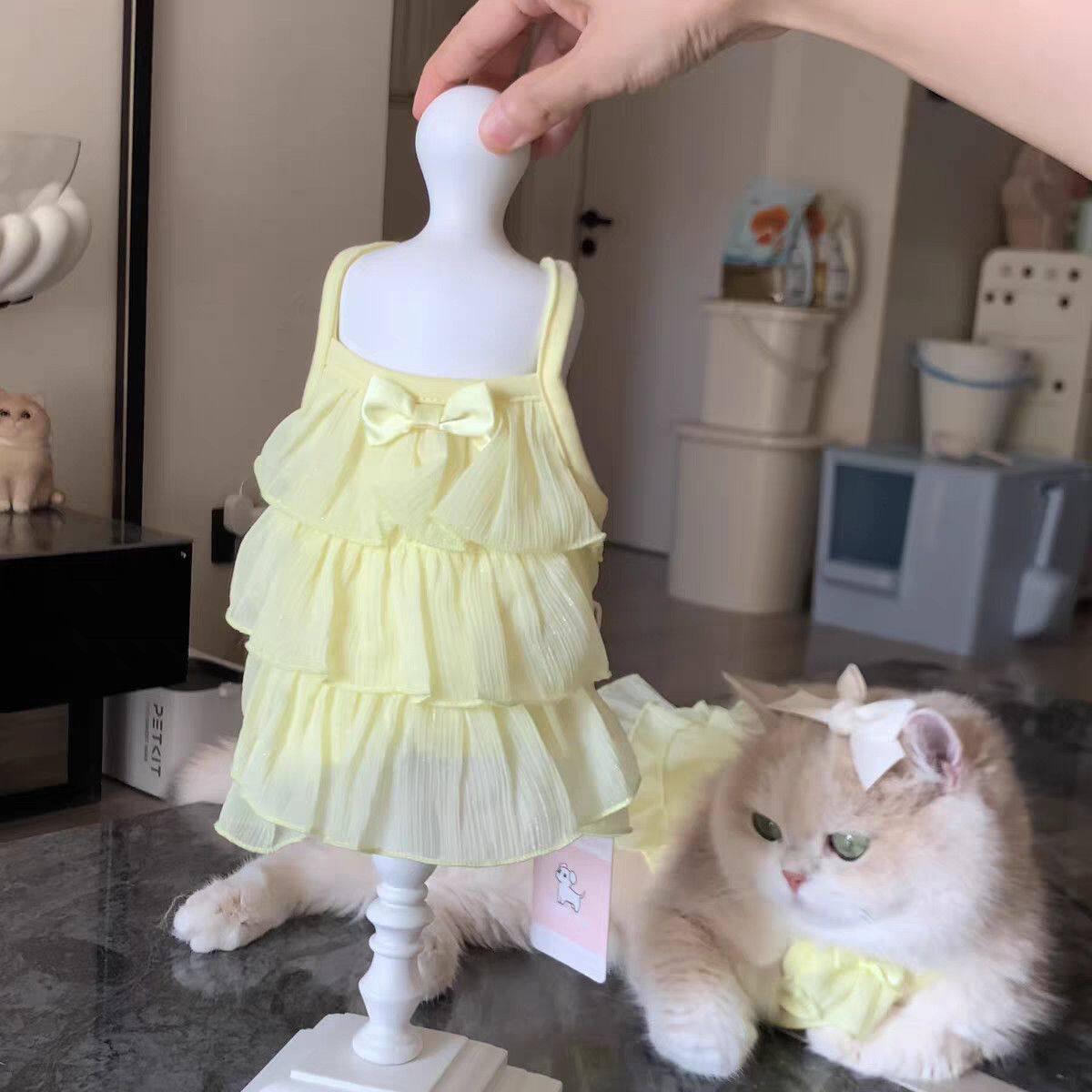 宠物猫咪柠檬公主吊带裙防掉衣服布偶德文金渐层小型犬背心