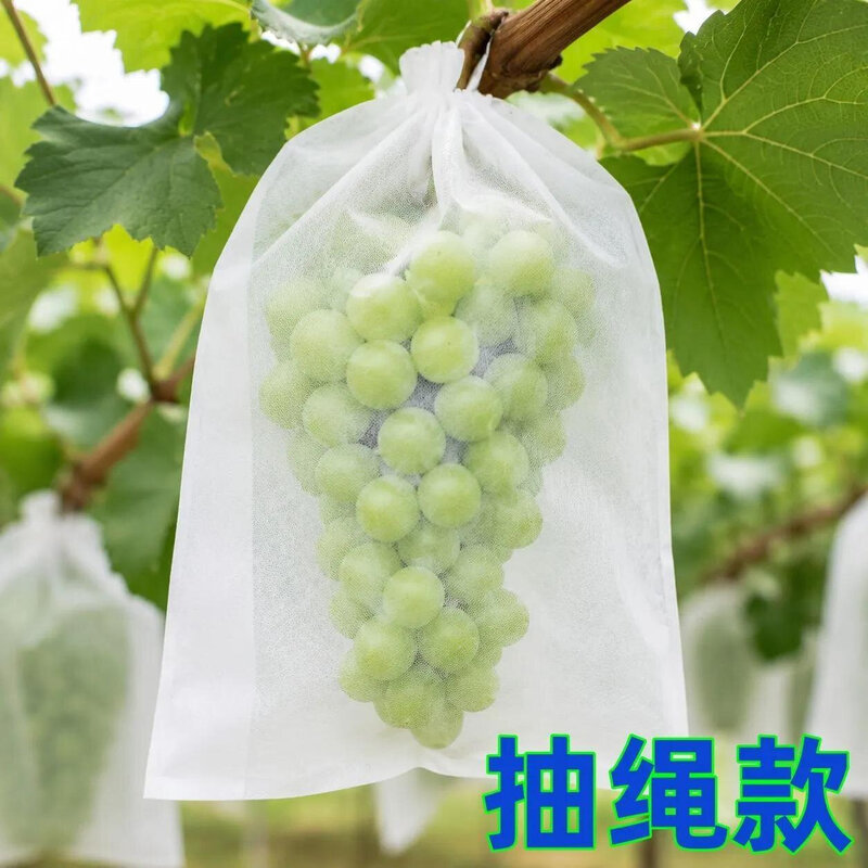 瓜果无花果透气防虫防雨自带抽绳葡萄水果专用防虫鸟套袋