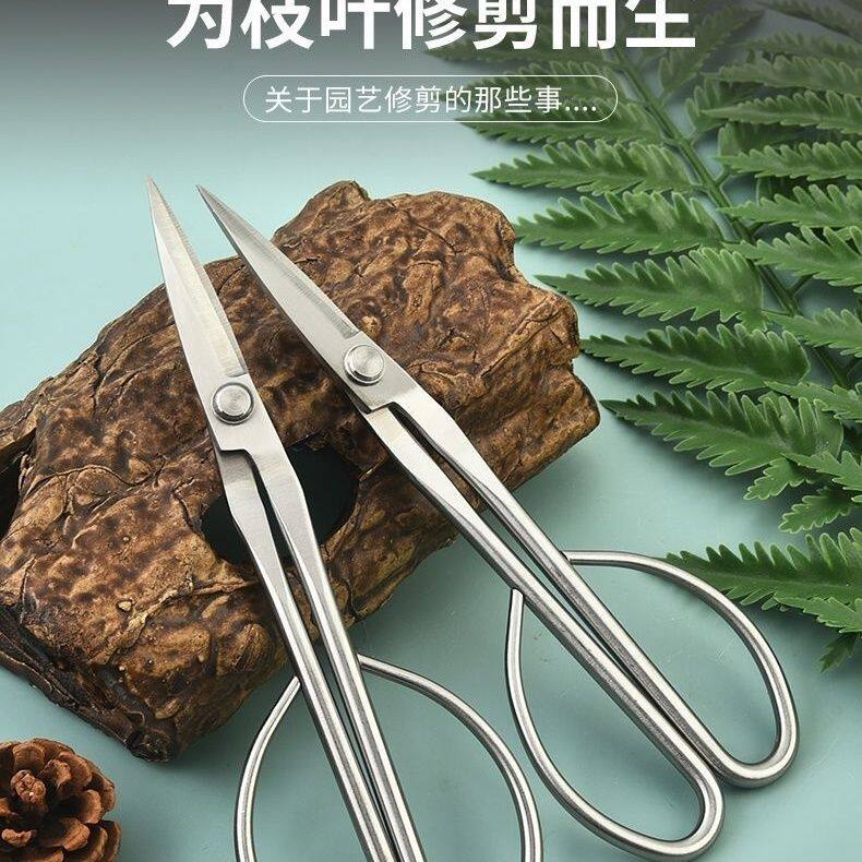 不锈钢加厚花艺修枝剪园艺叶芽小剪刀盆景插花枝叶造型修剪