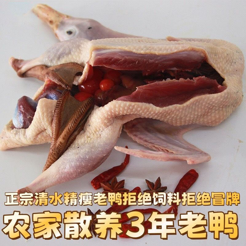 散养3年老鸭土鸭鸭子老鸭子 整鸭新鲜老鸭 正宗三年草鸭现杀鸭子