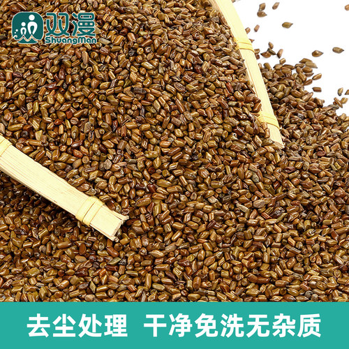 双漫决明子枕芯填充物干净免洗
