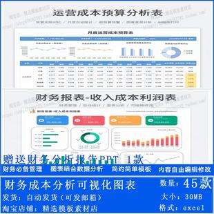 财务收入支出成本核算预算利润费用统计EXCEL可视化图表 财务报表