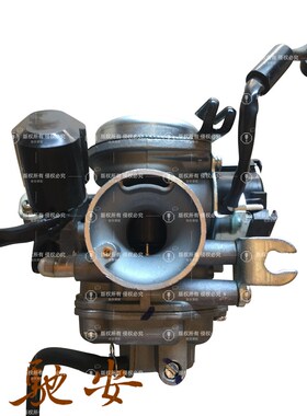 五羊小公主喜悦优悦睿御摩托车WH100T-A-H-F-G GCC/SCR电感化油器