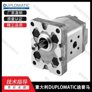 0140 20N 0070 0113R97F 齿轮泵 0095 意大利DUPLOMATIC迪普马GP2
