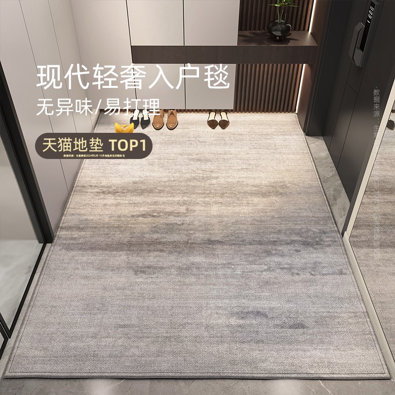 入户门地垫轻奢高级防滑地毯耐脏满B铺门口垫2024新款玄关入户门