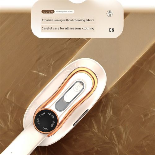 110V烫衣机蒸汽熨斗家用小型手提熨斗宿舍多功能熨斗机