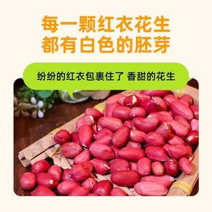 新东北红衣生花生米四粒货红鲜红皮小粒JWM的不带壳生黑龙新江特