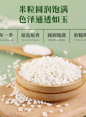 北白糯农家自产新米白圆糯米白江米包子专粽用米酿RIJ酒粘东黏大