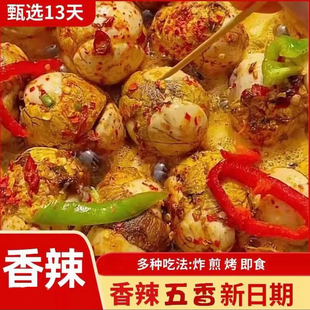 酱总金凤活珠子13天即食活珠子非毛蛋香辣熟鸡胚蛋辣味新鲜活珠子