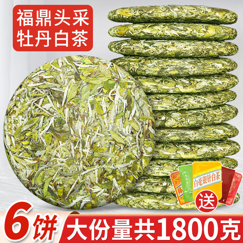 白茶2026福建花香白牡丹茶饼1饼300克福鼎头采高山荒野嫩芽春茶叶