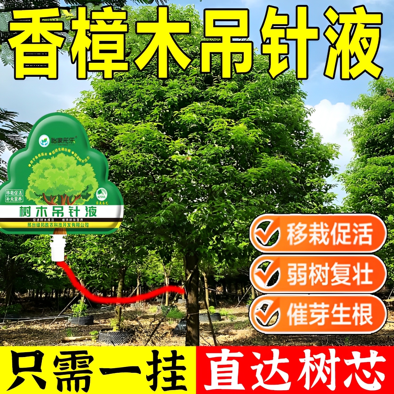 香樟树营养液植物覆活液吊针生根壮苗发芽剂枯树烂根专用激活液H