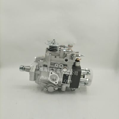 0460416069工程机械发动机燃油泵VE6/11F1350R417-1