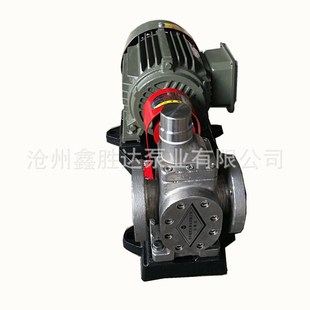 低噪音齿轮泵DN25齿轮泵厂家 不锈钢圆弧齿轮泵 YCB1.6 0.6齿轮泵