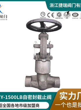 实力厂家直供锻钢PZ61H-1500LB焊接自密封闸阀PJ61H-2500LB截止阀