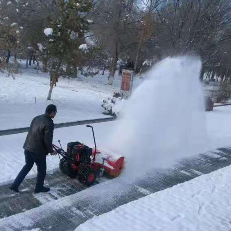 聚仁小型扫雪机路面手推扫雪机滚刷式道路清理清雪机器