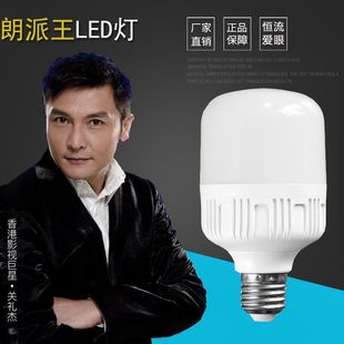 室内照明30w高富帅LED球泡灯E27螺口B22卡口led灯泡工厂批发