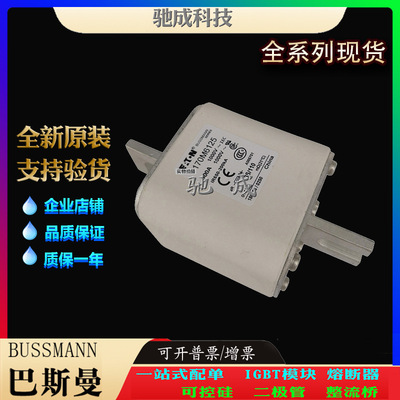 巴斯曼170M6125 170M6138 170M6139 大量现货厂价销售 快速熔断器