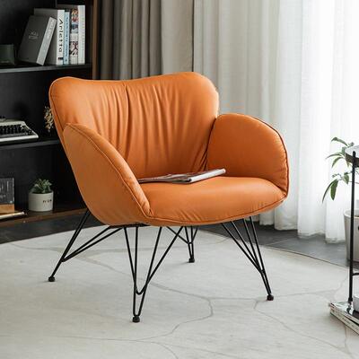 HFC-447沙发单人沙发椅阳台休闲椅轻奢老虎椅简约艺卧室