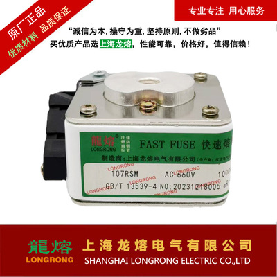 107RSM AC660V 1000A1100A1200A1300A1400A1500A1600A上海龙熔