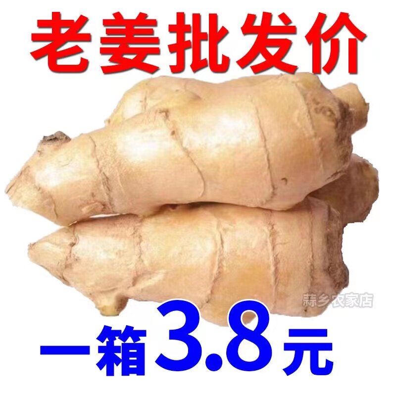 【现挖新姜】正宗云南新鲜生姜现挖新姜小黄姜老姜食用月子姜包邮
