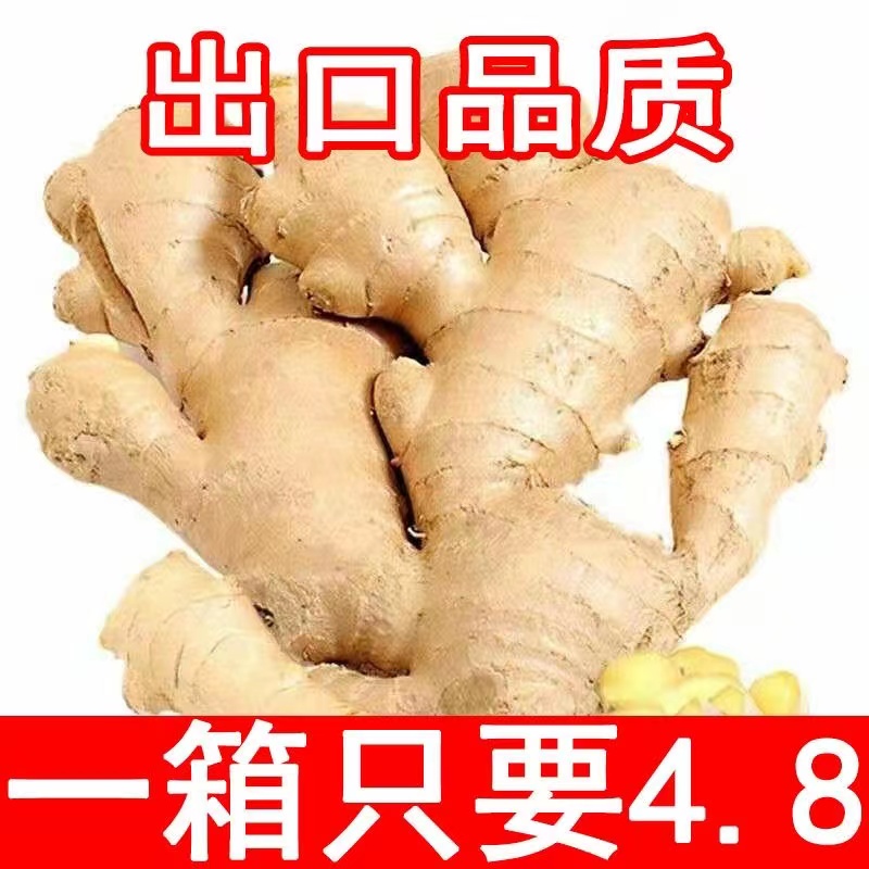 正宗云南高山小黄姜5/9斤