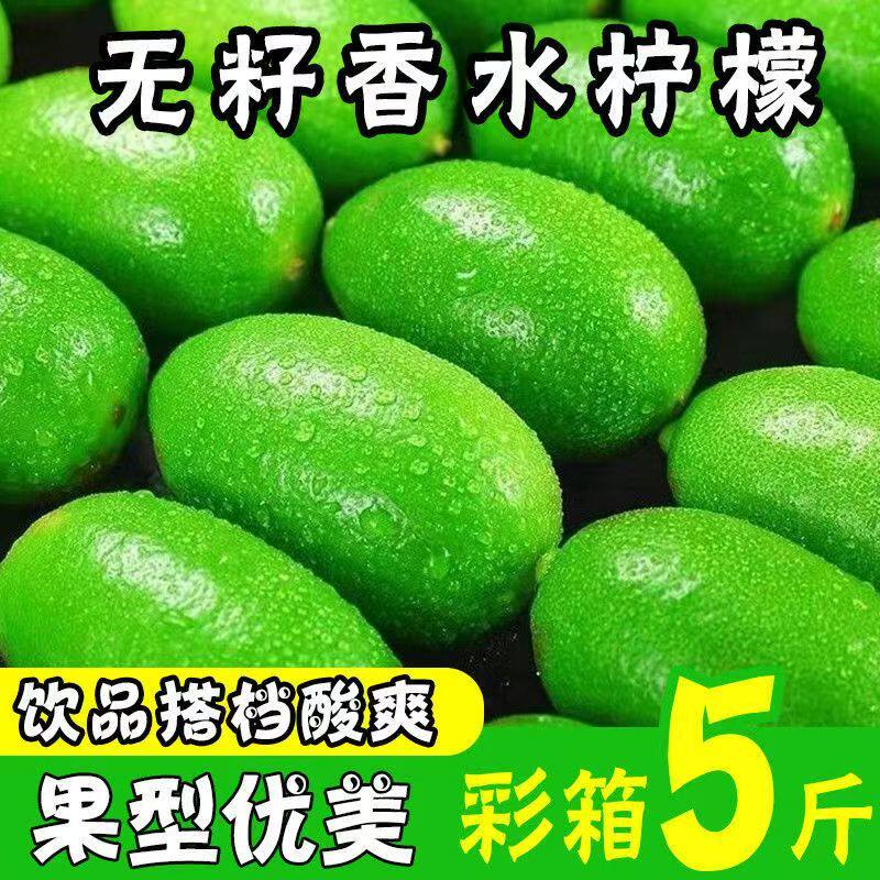 海南无籽香水柠檬新鲜正宗青柠檬奶茶店专用当季一级大果暴打整箱
