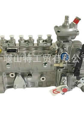 柴油机6LTAA8.9装载机燃油喷射泵5286862