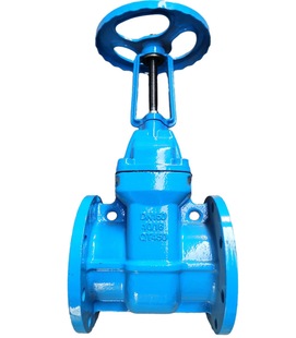 球铁明杆铜芯闸阀 明杆球墨铸铁铜芯硬密封闸阀 规格Z41T-10/16Q