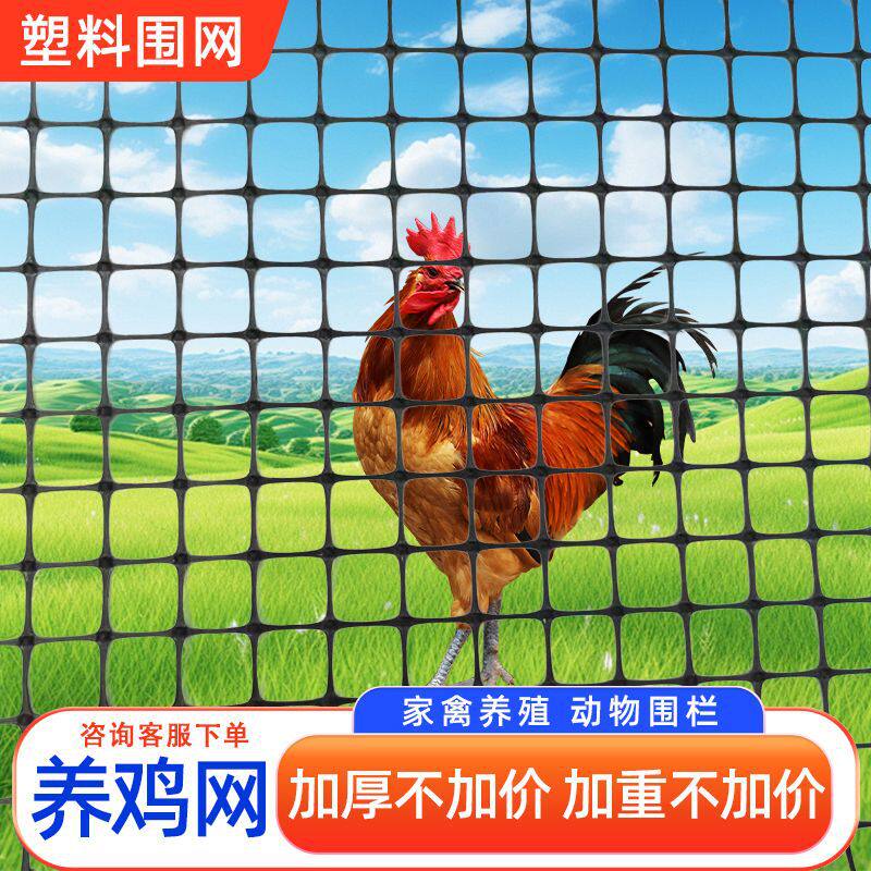 塑料围栏网养鸡养殖护栏网菜园家用围挡户外网格鸡鸭黑色土工格栅