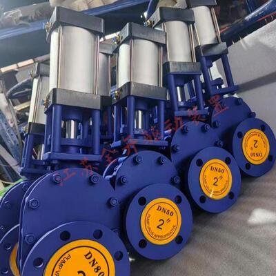 Z644TC-10CDN350气动陶瓷双闸板阀排渣电厂除灰尾矿输送