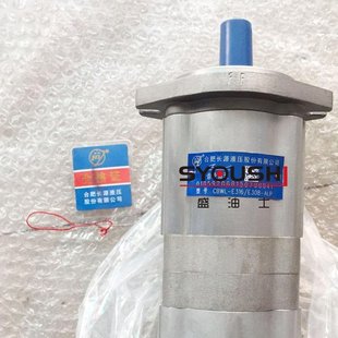 CFHL CLHL E306 CLH CLPL CLP CFH CFPL CFP E316 长源齿轮泵CBWL