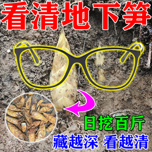 找笋神器冬笋专用眼镜挖冬笋探测仪看穿地下笋竹林山上高清找笋器