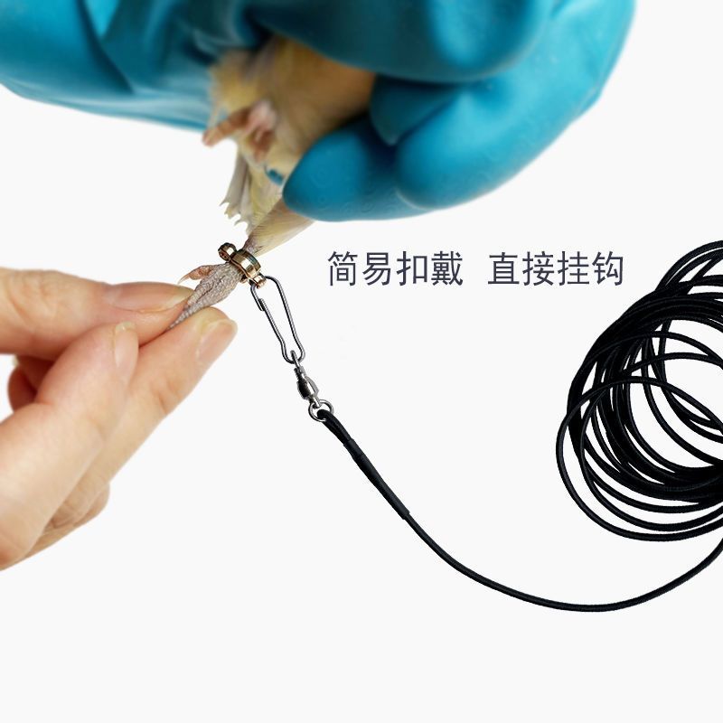 八哥牡丹玄凤虎皮加长超轻鸟类外出牵引遛鸟放飞专用束缚绳