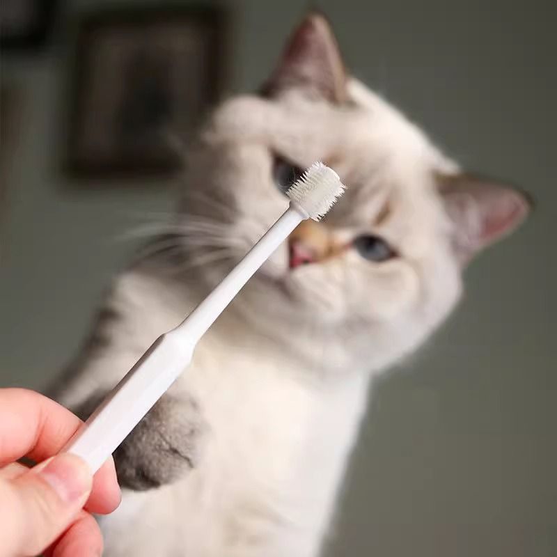 家用宠物软毛小头牙刷纳米旋转洁牙猫狗口腔除口臭清洁器具