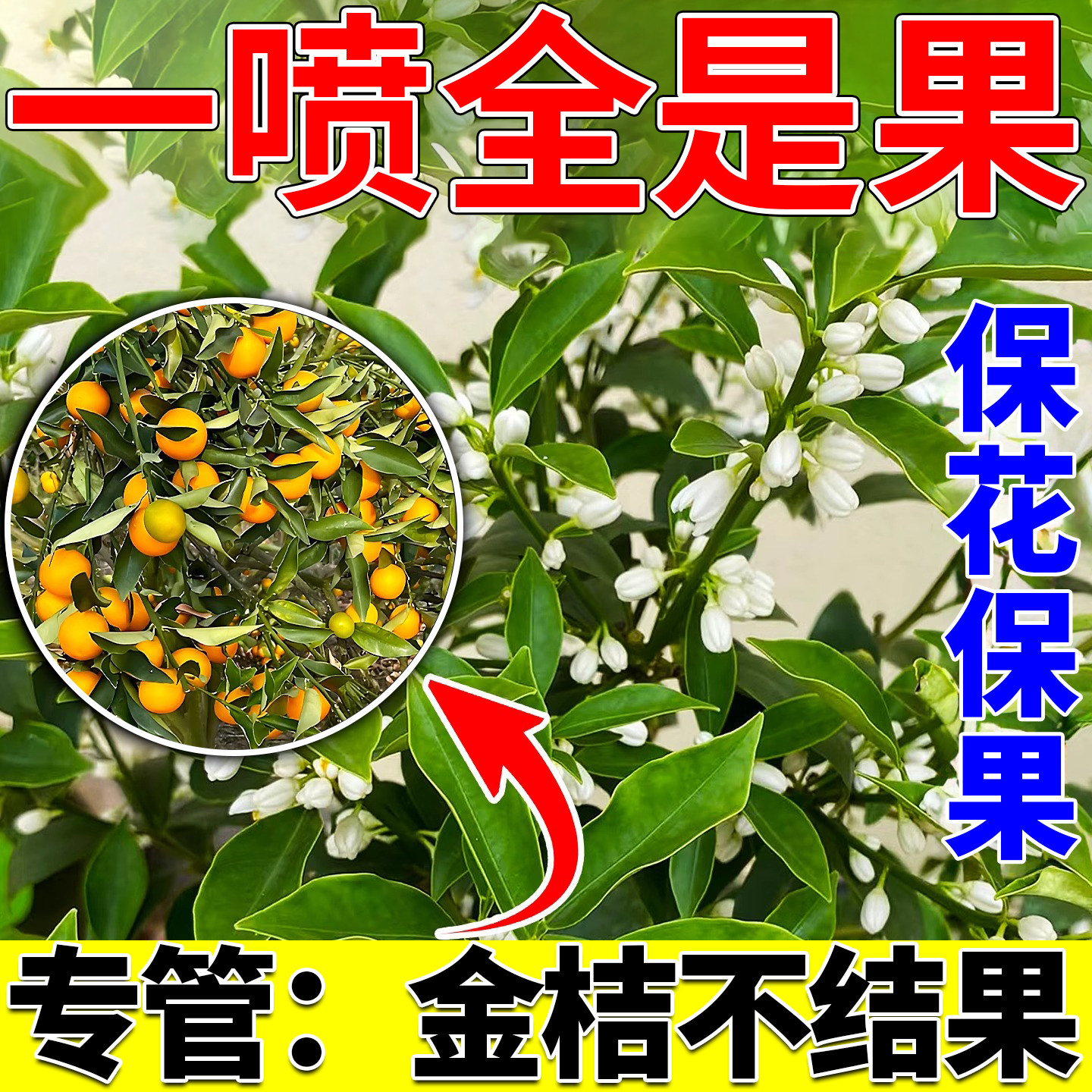 金桔保花保果剂专用肥料脆蜜果树防落果裂掉果素流体硼叶面水溶肥