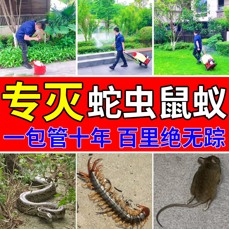 防蛇虫鼠蚁药户外露营野外驱蜈蚣壁虎蝎子黄雄粉庭院室内强力防虫