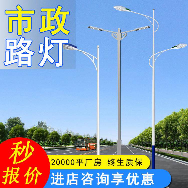 市政LED市电路灯厂家直销小区改造路灯杆厂区户外道路照明双臂路