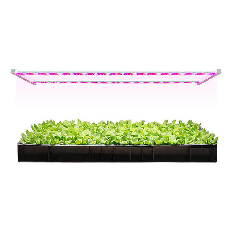 ARZ2H植物工厂水培集装箱蔬菜植物灯生菜罗勒叶菜作物光谱补光灯