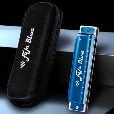 EASTTOP HARMONICA东方鼎FALA布鲁斯口琴12孔儿童成人入门乐器