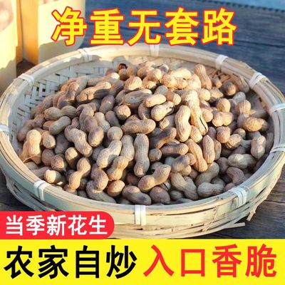 农家铁锅炒花生带壳熟原味柴火瓜子花生炒货大全零食小吃休闲食品