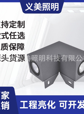 厂家直销6W9W10W16W18W户外防水LED双向直角星光灯一束光外户外