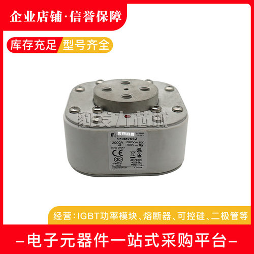 170M7118/7119/7120/7121/7122/7123/7124/7125/7126全新熔断器