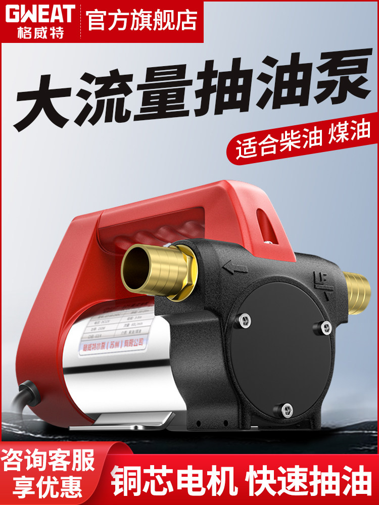 小型电动抽油泵全自动吸柴油泵加油机 12V24V220V直流油泵
