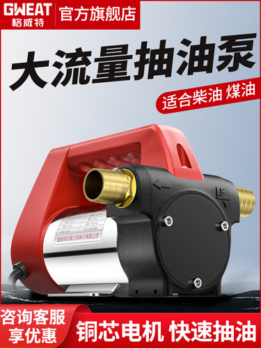 小型电动抽油泵全自动吸柴油泵加油机 12V24V220V直流油泵